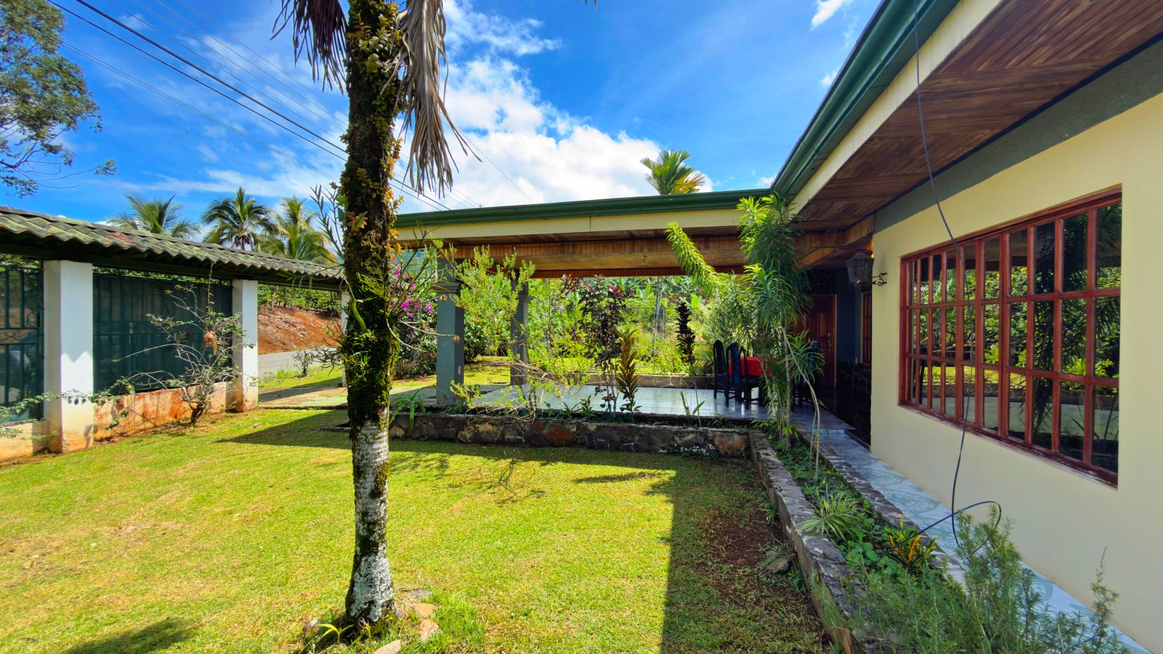 Tropical yard with palm trees, a grassy lawn, and a covered patio beside a yellow house with large wooden-framed windows.