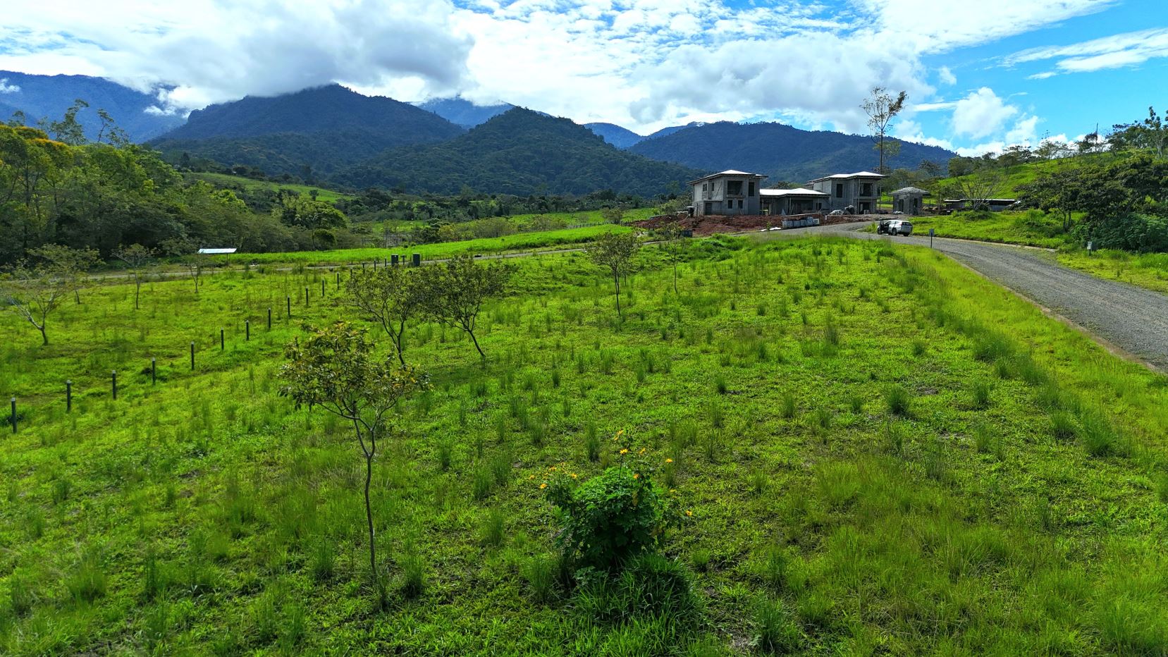 Open green field with young trees and a gravel road curving toward a cluster of unfinished houses at the foot of mountains