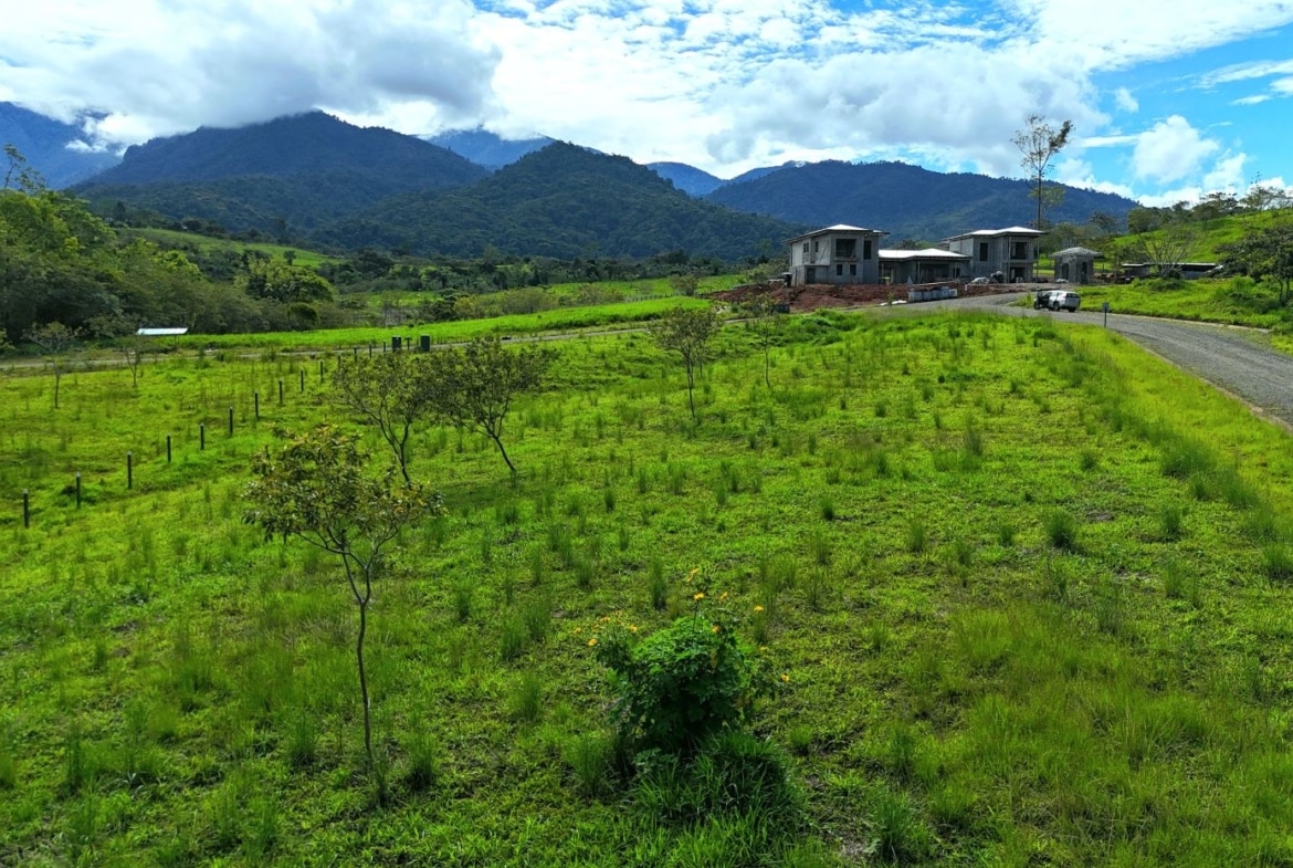 Green rural field with scattered trees, a gravel road to the right, and a cluster of unfinished houses against distant hills and blue sky.