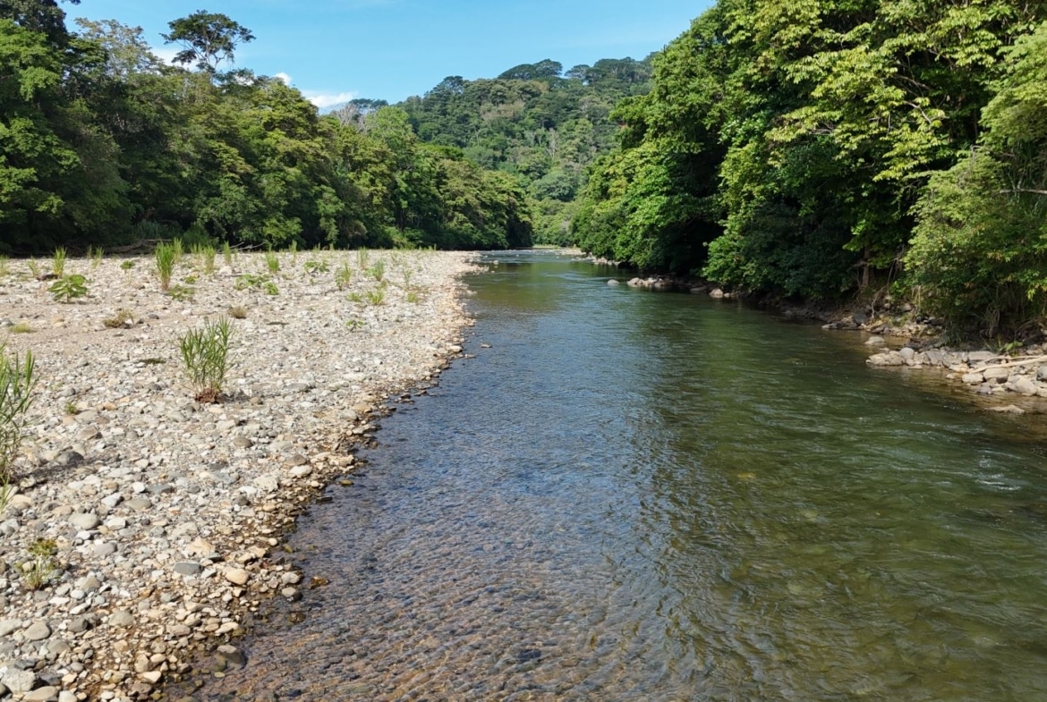 Shallow river winds between a rocky pebbled bank and dense green forest on both sides.