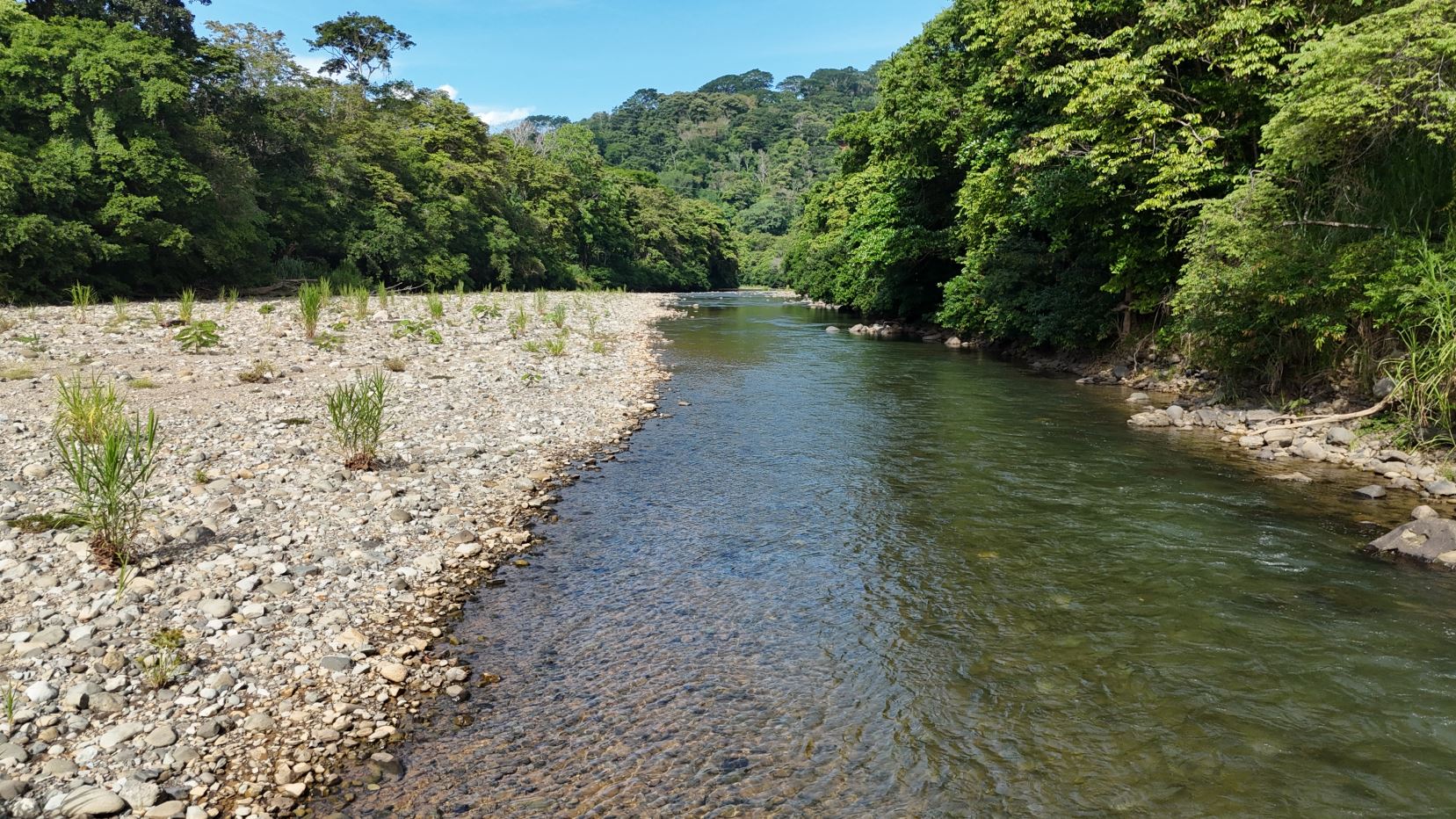 Shallow river winds between a rocky pebbled bank and dense green forest on both sides.