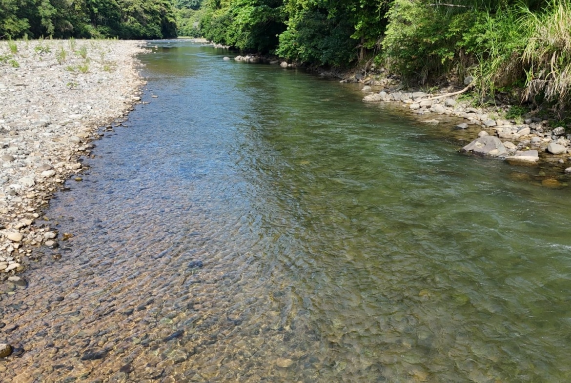 Shallow, clear river flowing between pebbled banks with green trees on one side and a rocky shore on the other.