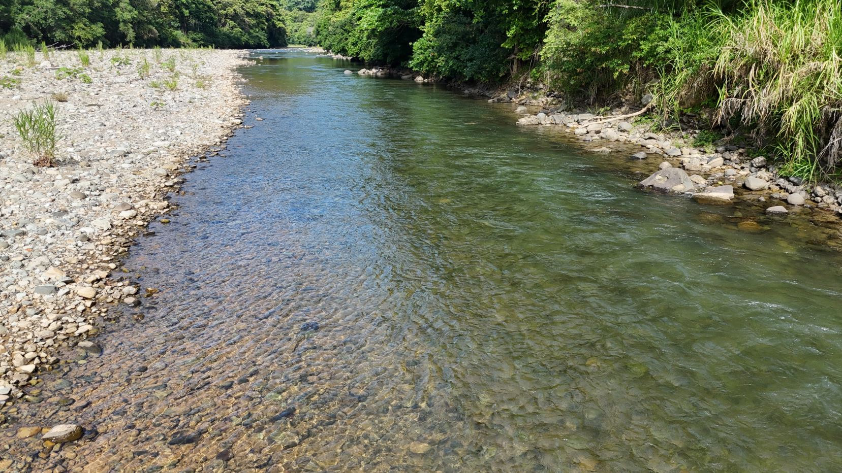 Shallow, clear river flowing between pebbled banks with green trees on one side and a rocky shore on the other.