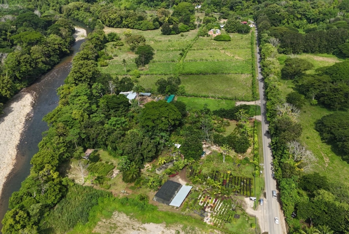 Aerial view of a river winding through dense green forest with farmland plots and a road on the right edge.
