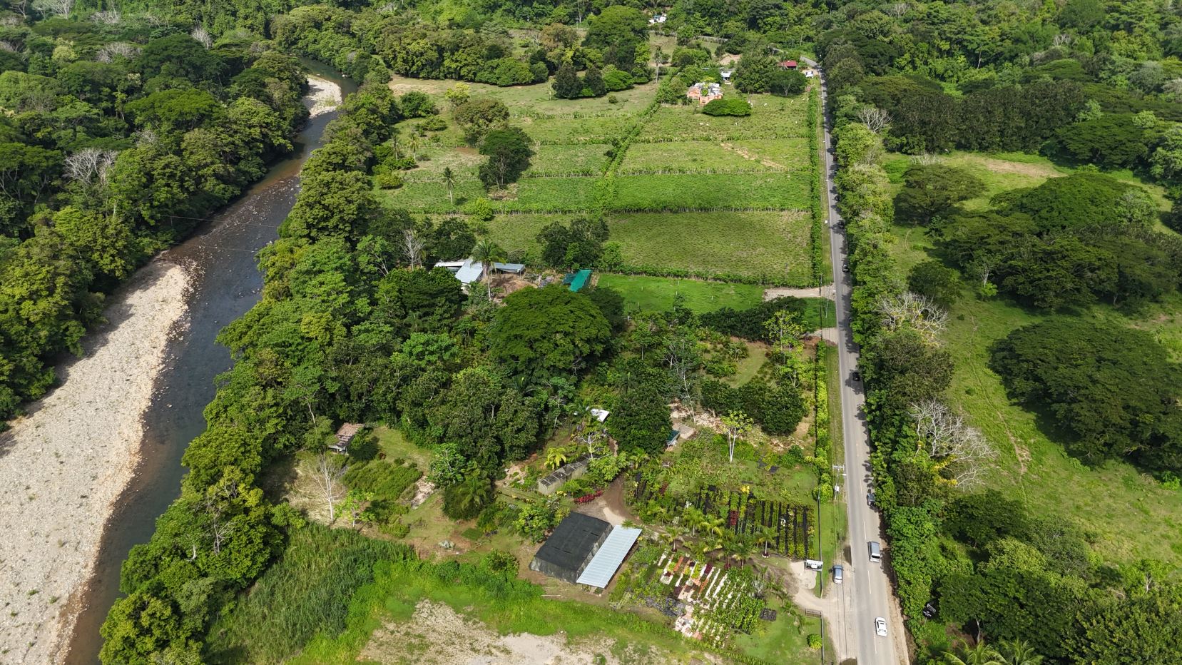 Aerial view of a river winding through dense green forest with farmland plots and a road on the right edge.