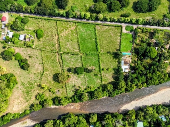Aerial view of riverfront farmland with rectangular green plots, trees, and a road along the top edge.