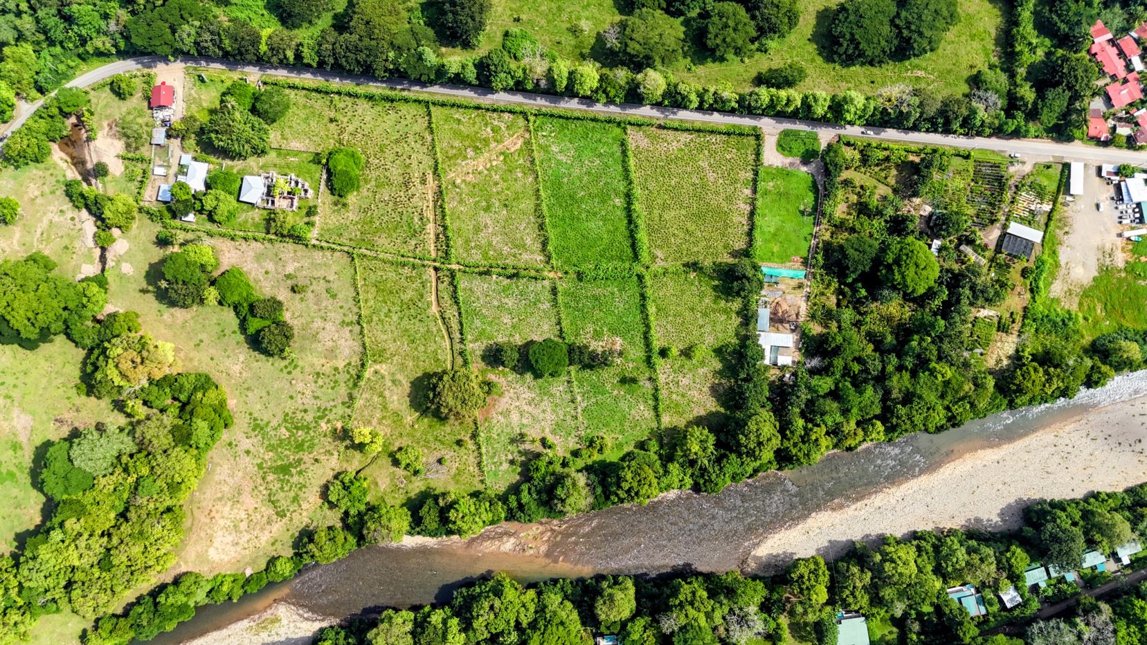 Aerial view of riverfront farmland with rectangular green plots, trees, and a road along the top edge.