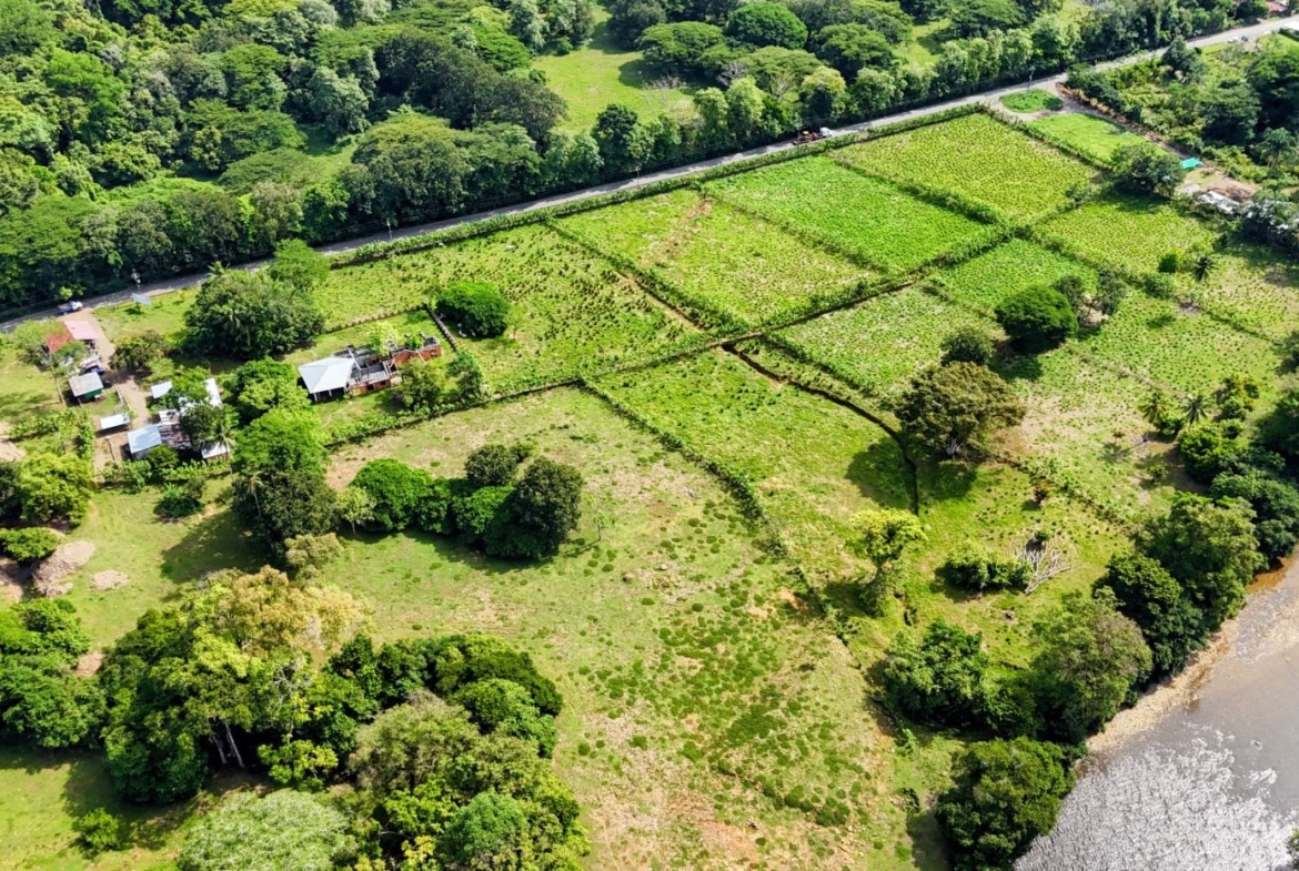 Aerial view of a rural property with fenced green fields, scattered houses, and dense trees along a riverbank on the right edge.