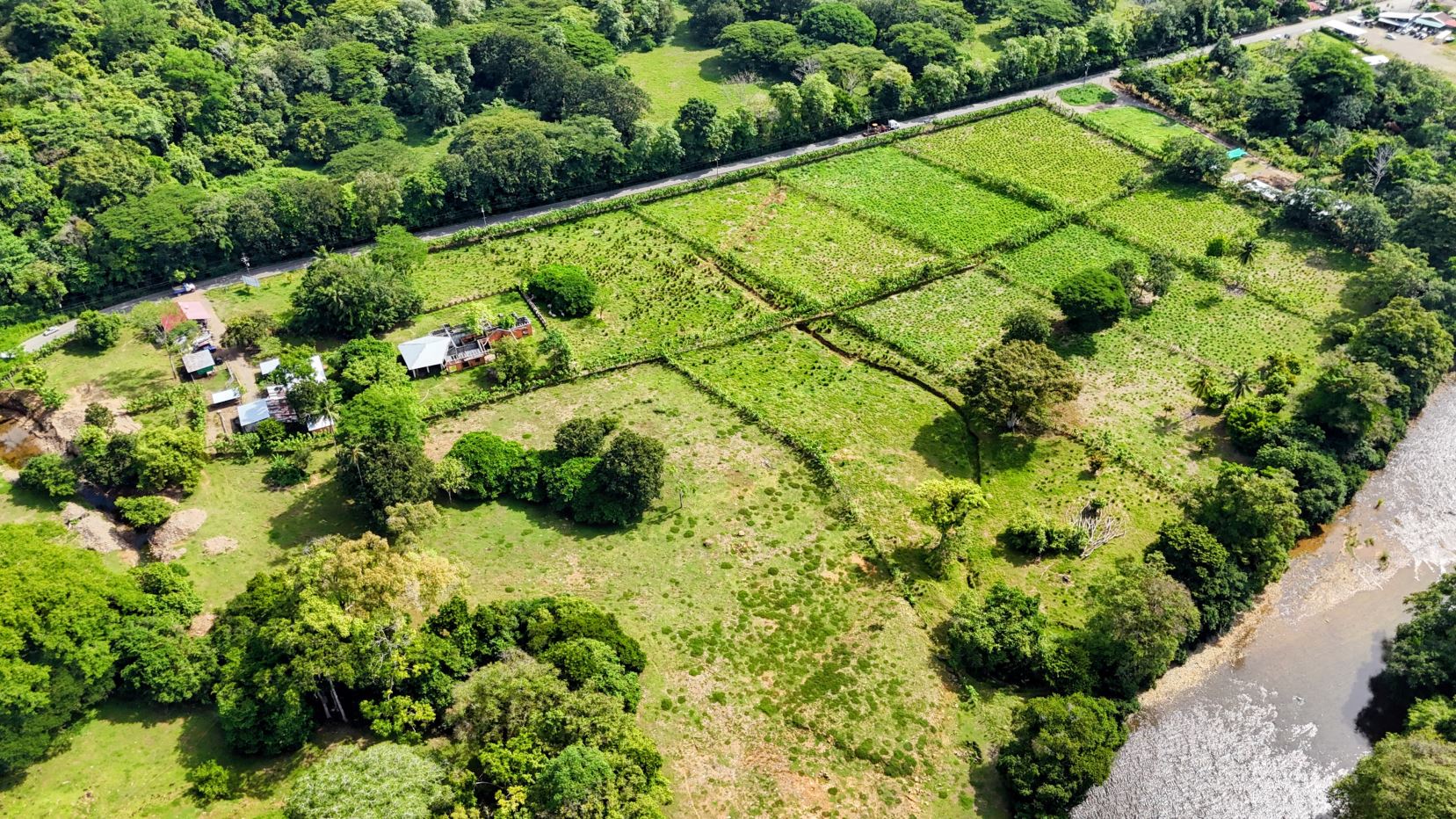 Aerial view of a rural property with fenced green fields, scattered houses, and dense trees along a riverbank on the right edge.