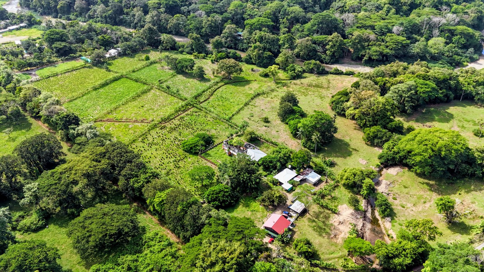 Aerial view of a rural farm with patchwork green fields, trees, and a cluster of small buildings surrounded by forest.