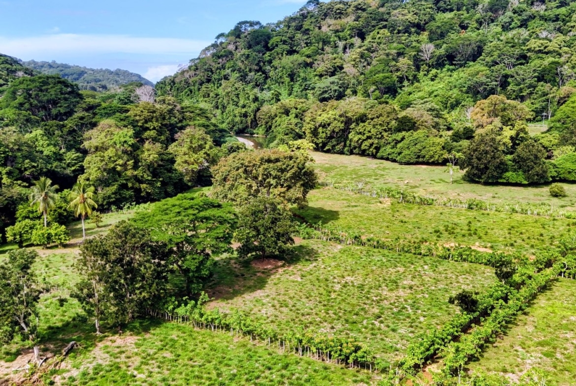 Aerial view of a green farm with fenced paddocks, scattered trees, and forested hills under a blue sky.