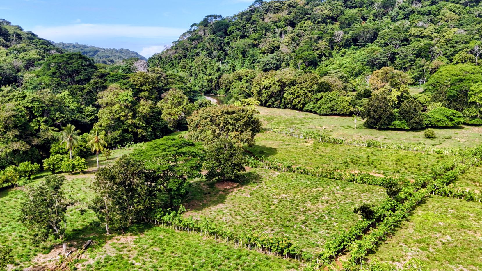 Aerial view of a green farm with fenced paddocks, scattered trees, and forested hills under a blue sky.
