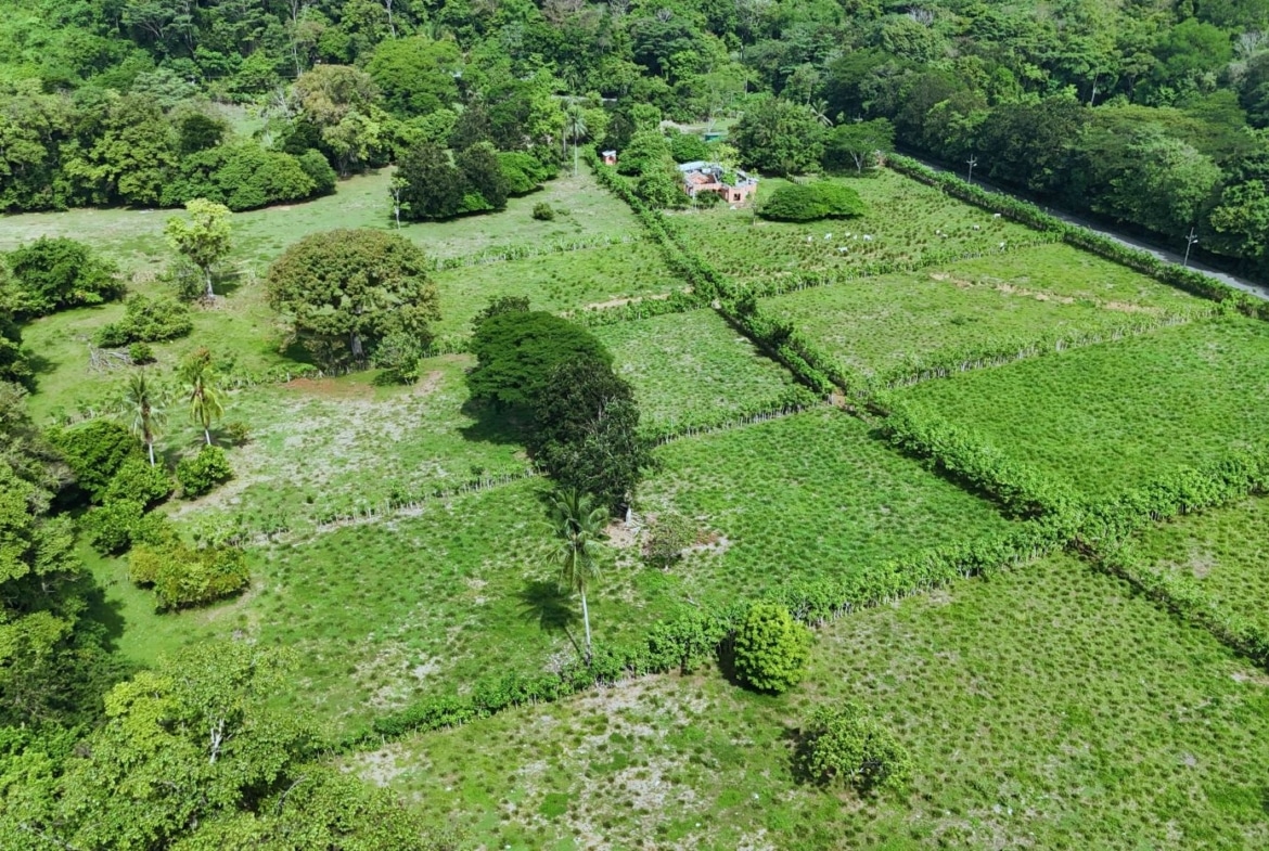 Aerial view of a divided green farm with hedgerows, scattered trees, and a small brick house near the center.