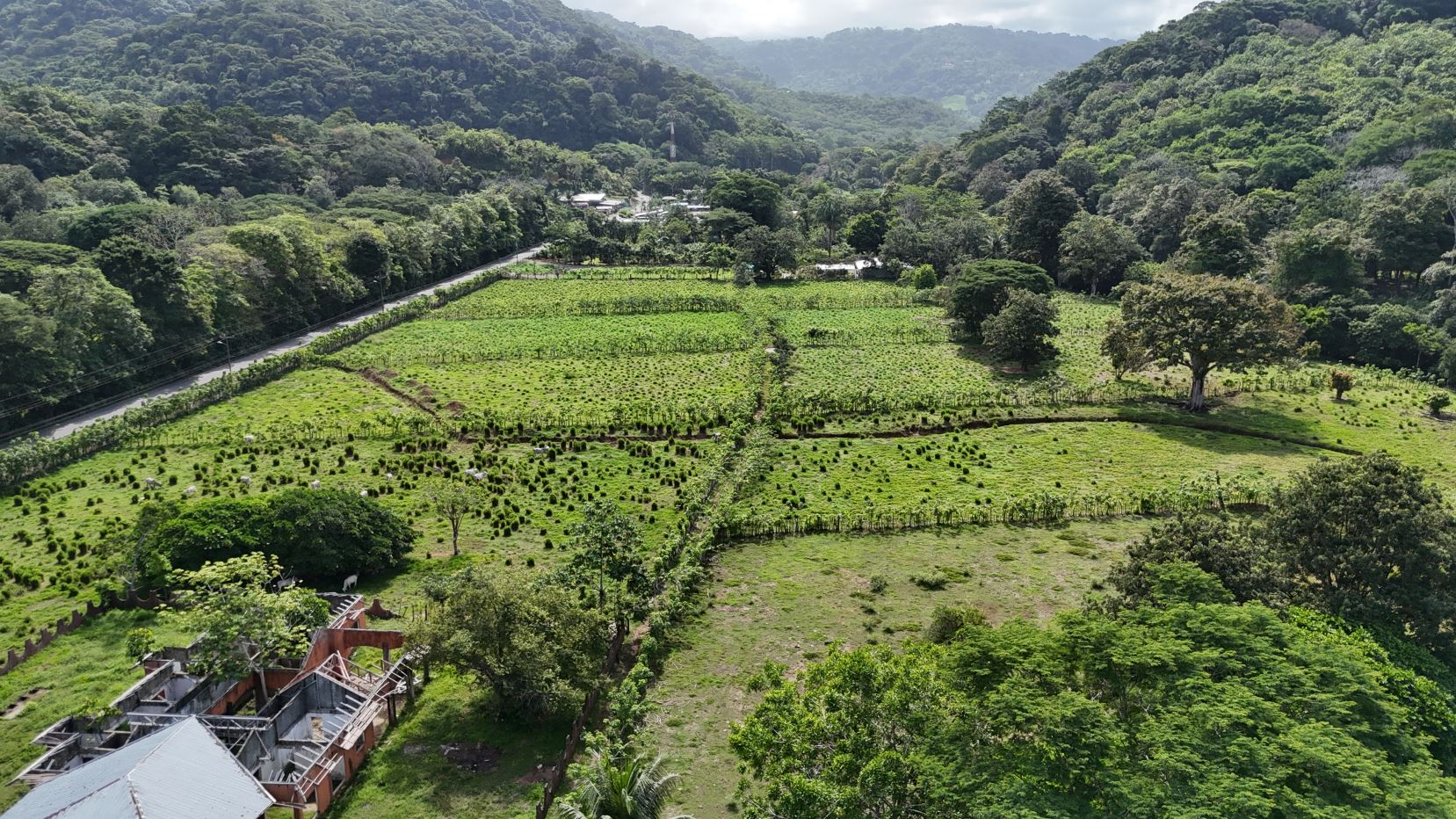 Aerial view of a green rural valley with patchwork fields, trees, and a road along the left edge amid forested hills.
