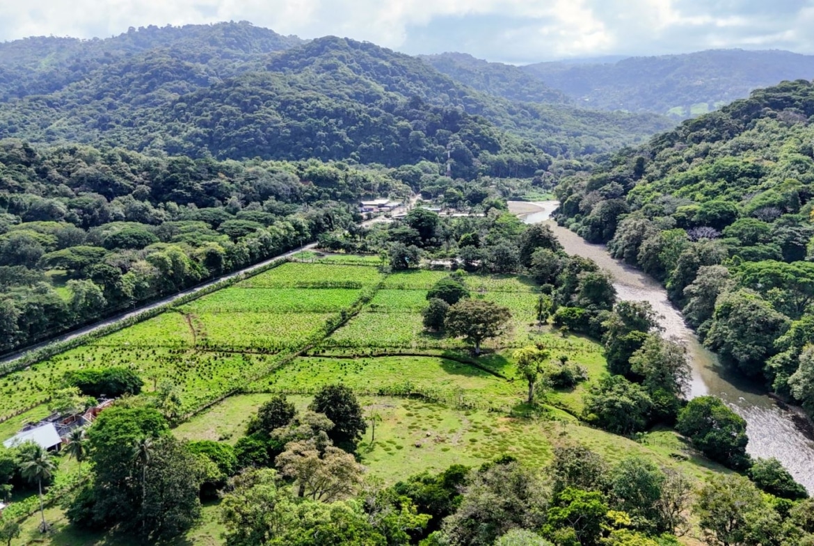 Aerial view of green fields and farmland bordered by trees, with a winding river on the right and forested hills in the distance.