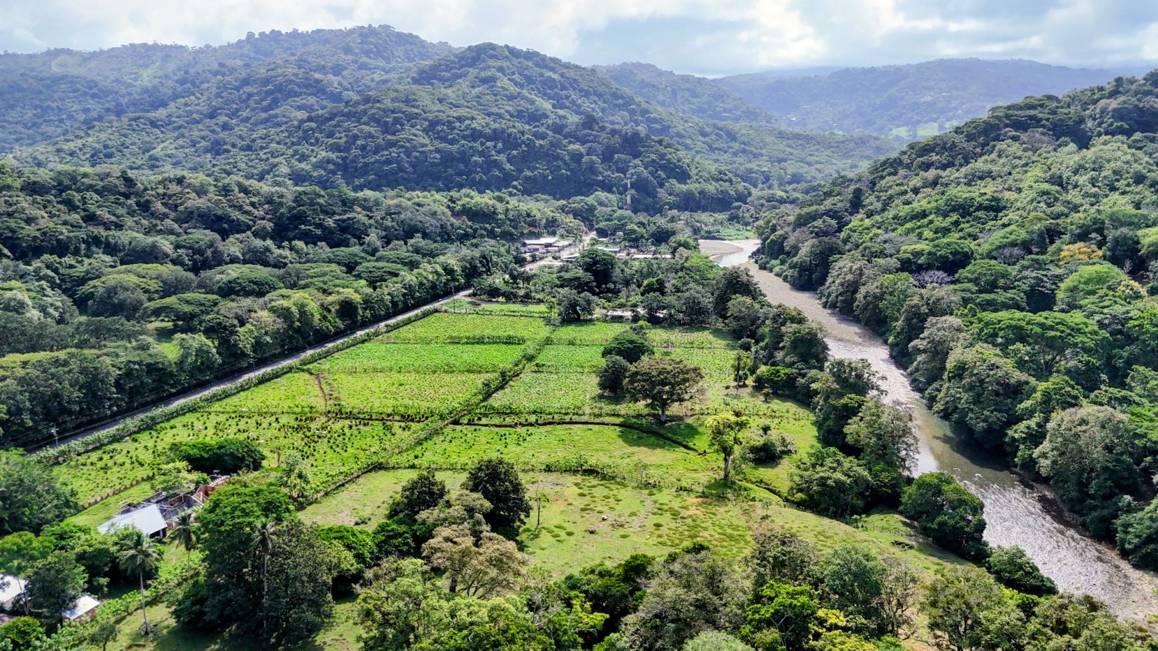 Aerial view of green fields and farmland bordered by trees, with a winding river on the right and forested hills in the distance.