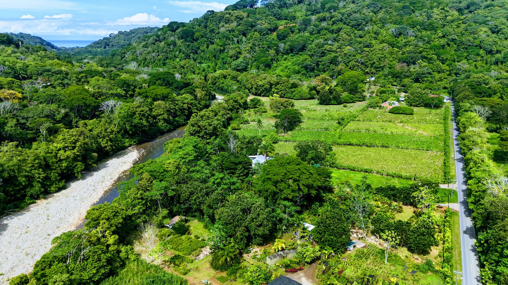 Aerial view of a lush green hillside with a winding river on the left and rectangular fields on the right beside a paved road.