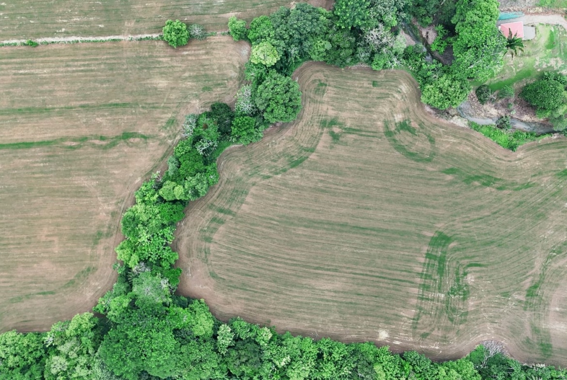 Aerial view of brown plowed fields bordered by a curved line of dense green trees forming a natural boundary near the center and edges of the image.
