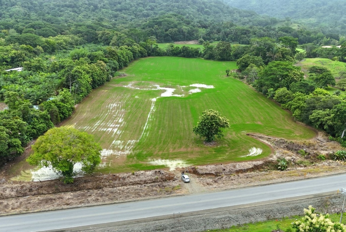 Aerial view of a bright green field with scattered puddles, surrounded by dense trees and hills, next to a paved road at the bottom.