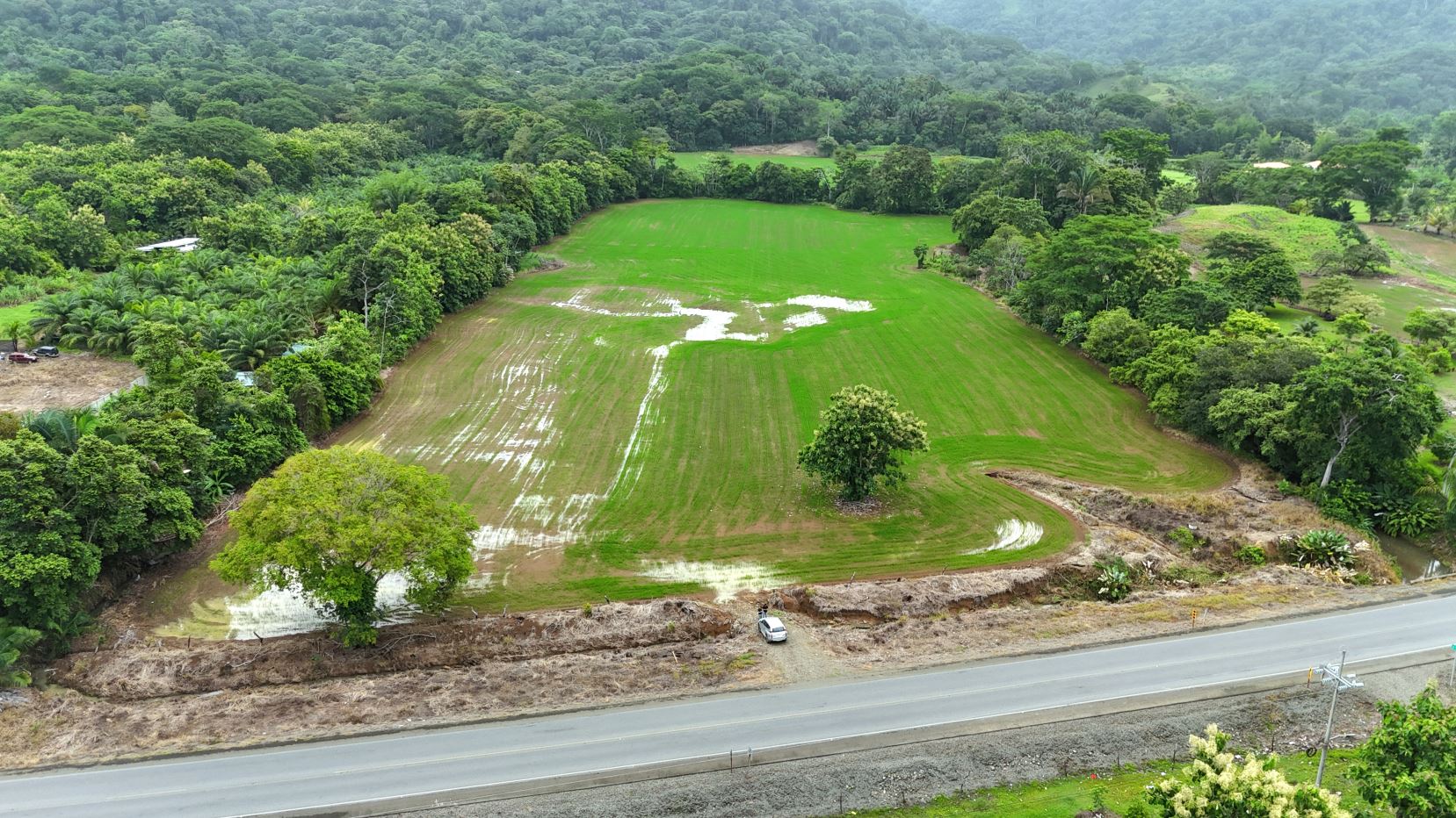 Aerial view of a bright green field with scattered puddles, surrounded by dense trees and hills, next to a paved road at the bottom.