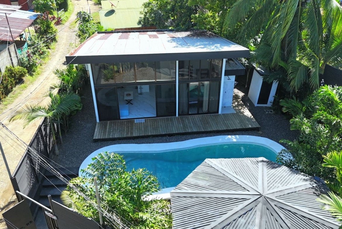 Aerial view of a modern glass-walled house with a kidney-shaped pool in a tropical yard with palm trees nearby