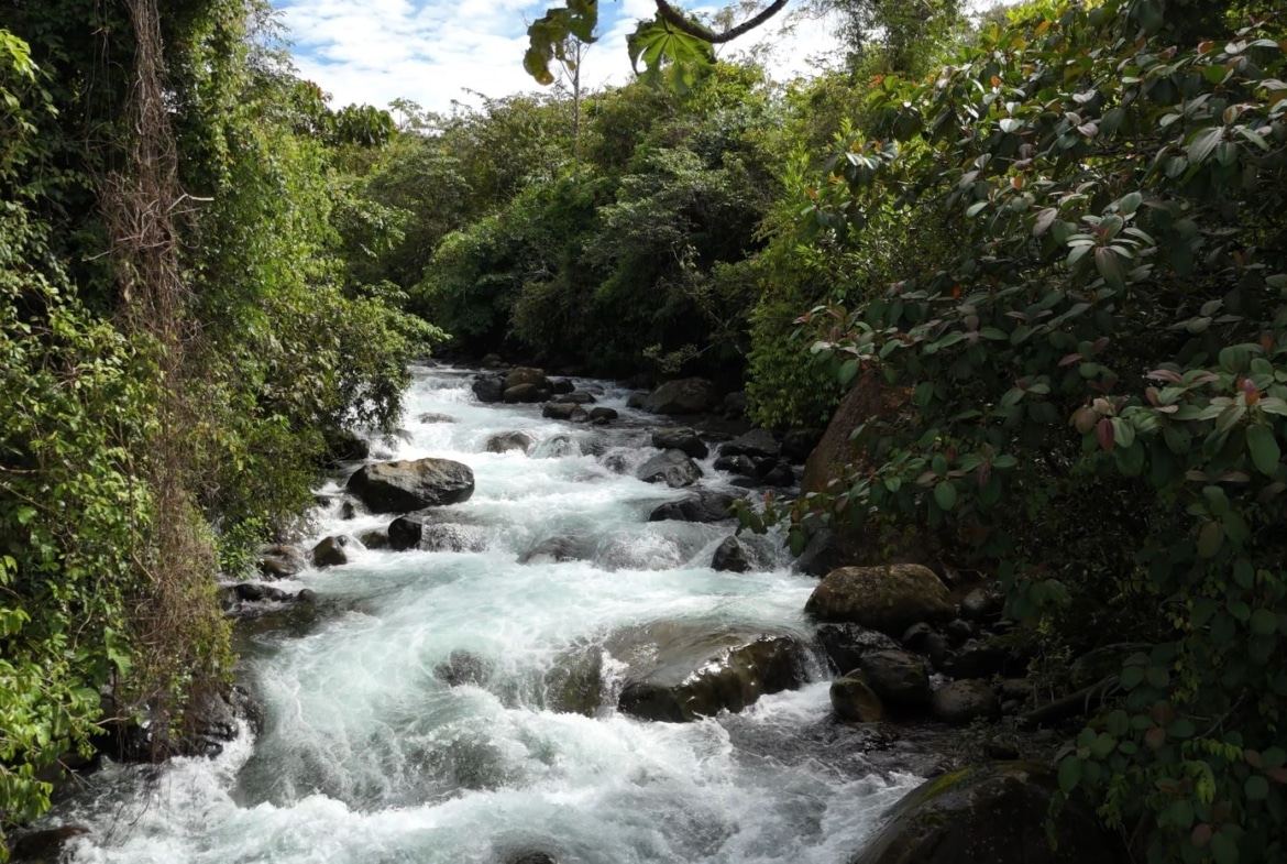 Rapid, foaming river winding through rocks flanked by dense green tropical foliage on both banks.